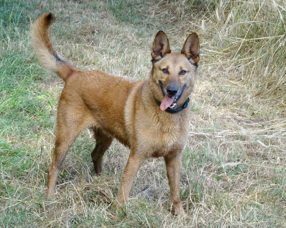 2012-169-Miro-am-14-07-2015-1200 Miro