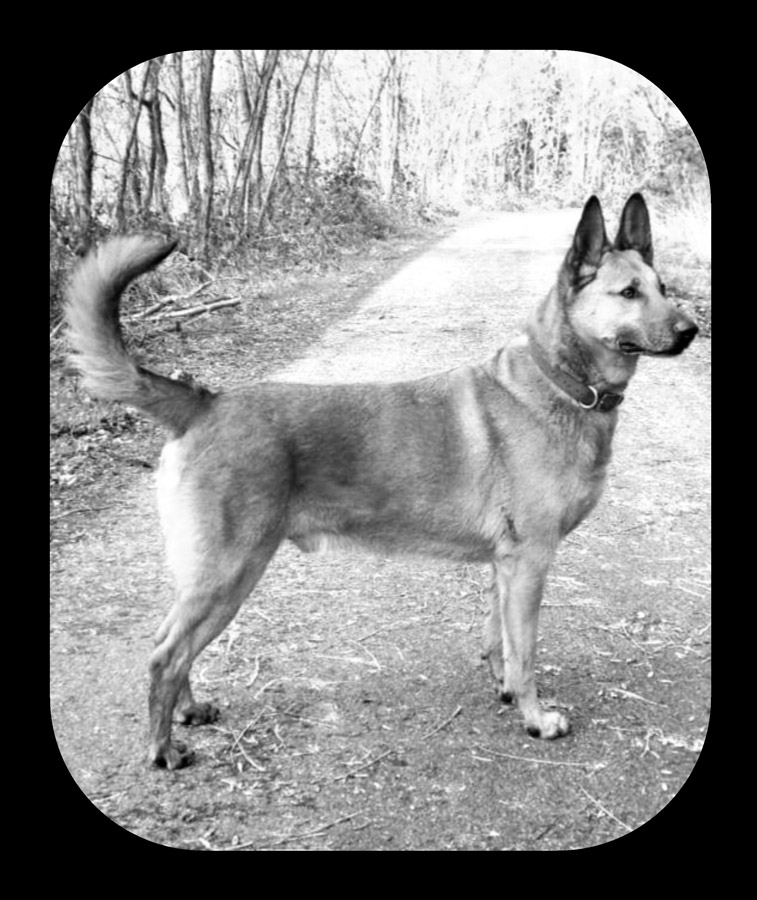 2012-169-Miro-unvergessen-1 Miro unvergessen