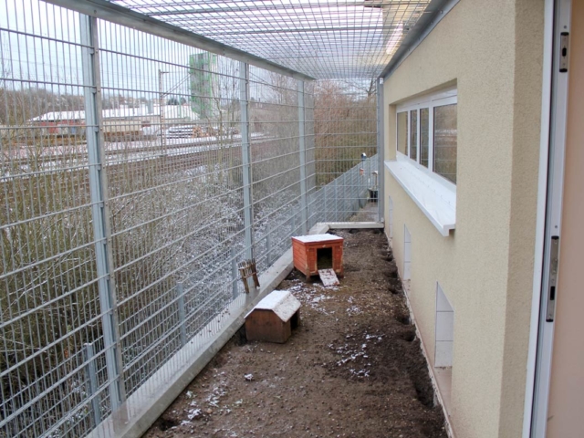 Aussenbereich mittlerweile begr&uuml;nt