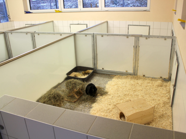 Grupenbox Nahansicht