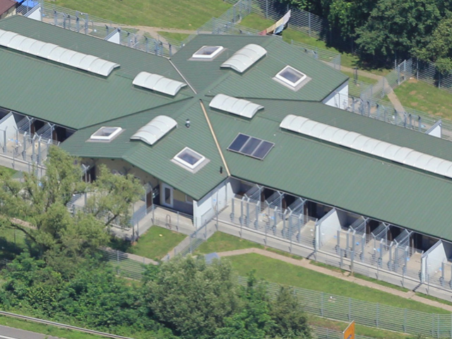 Spielwiesen vorne und hinten