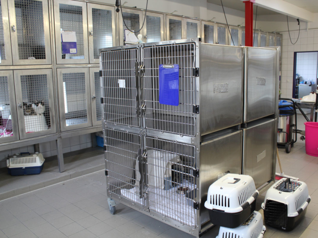 Quarant&auml;neboxen fahrbar