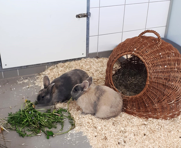 Pia und Phillip