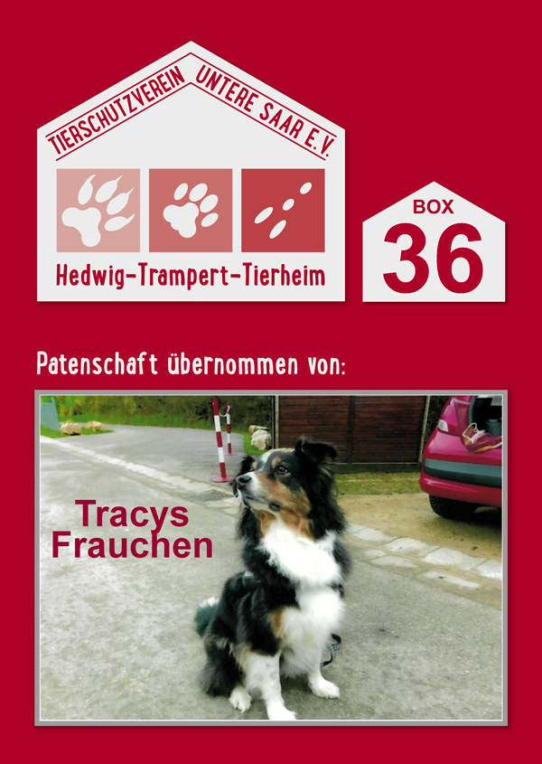 Tracy's Frauchen