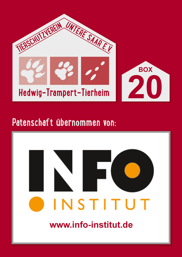 Info Institut