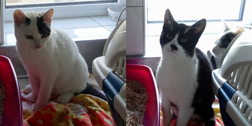 Daria & Kein Pünktchen