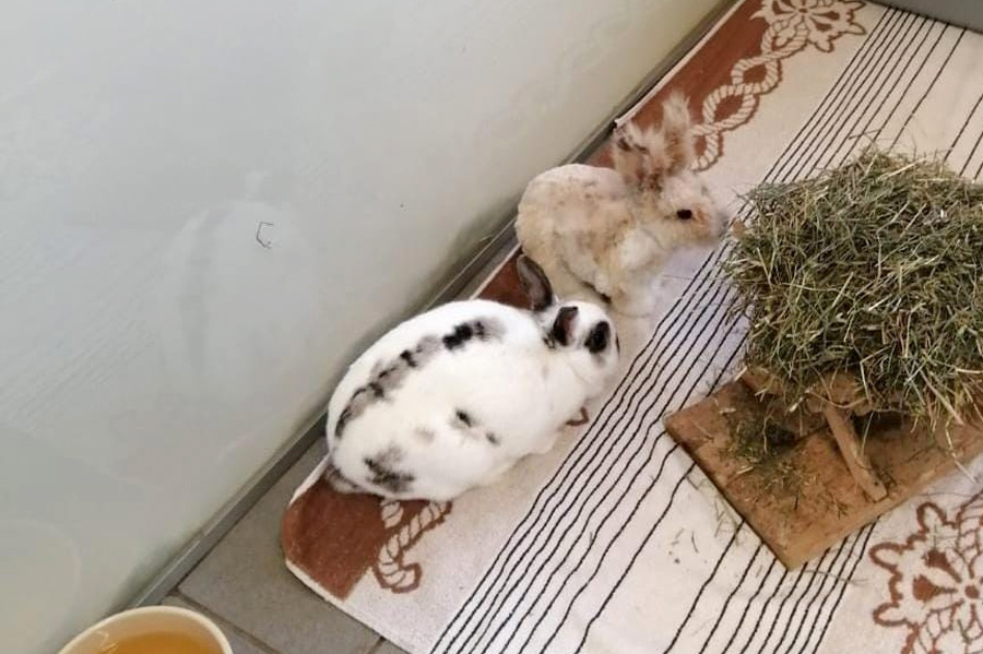 Leo und Lilly