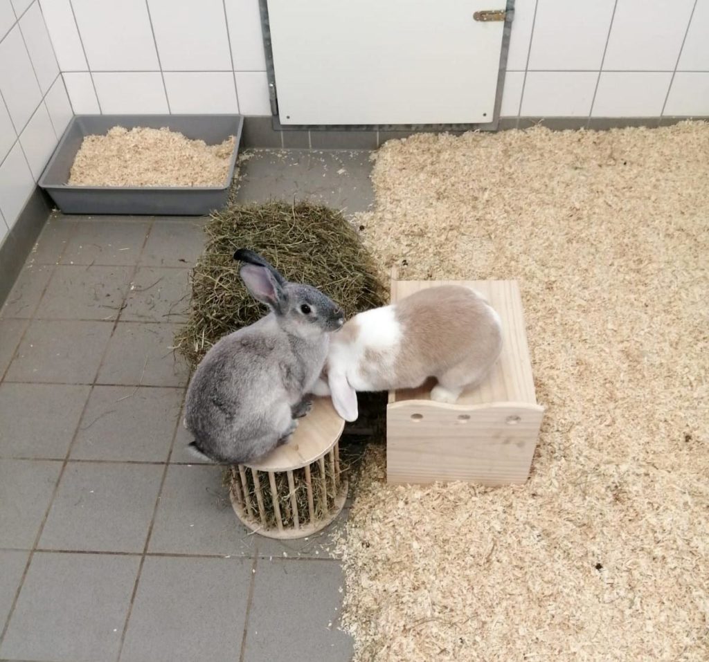 Angel und Glöckchen