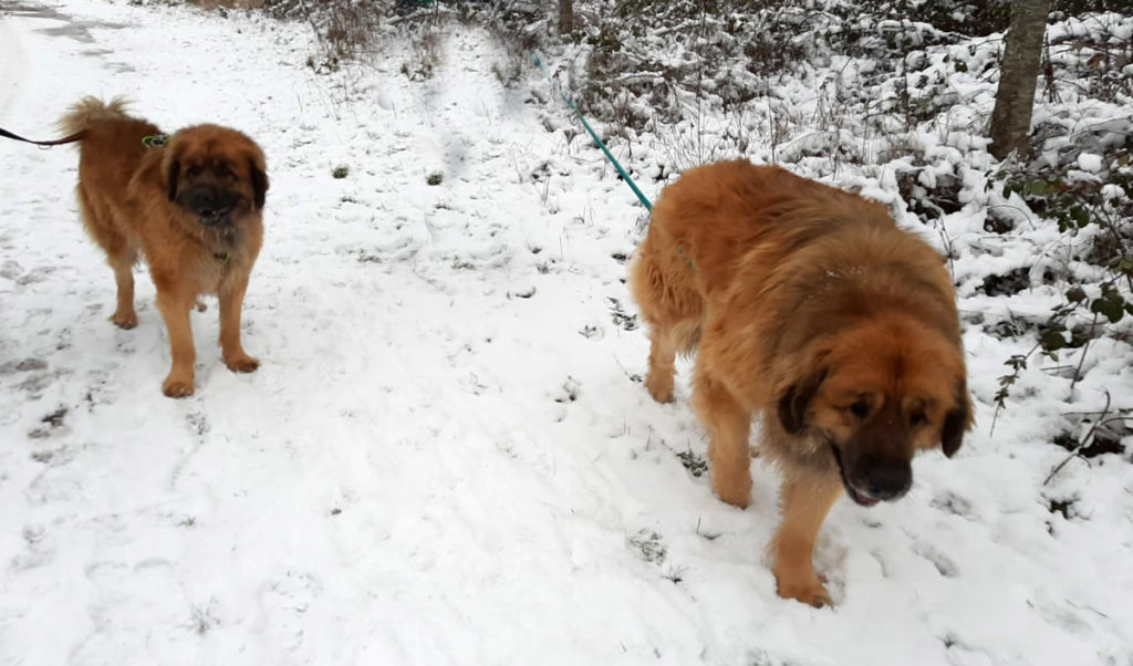 Lucky und Tobbi
