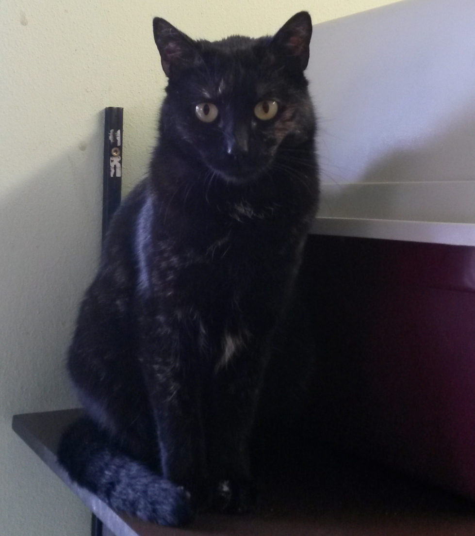 Mia