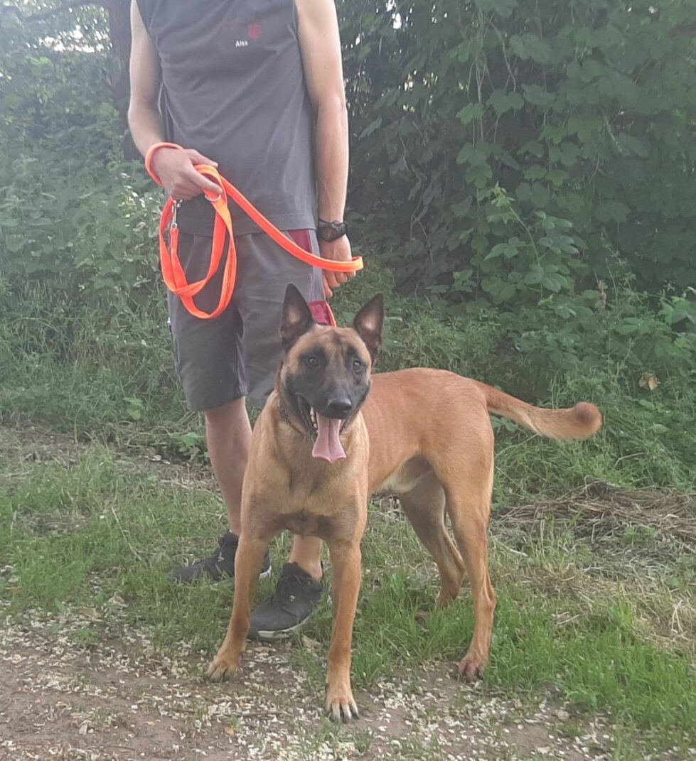 2021-088-Mailo-1 Mailo