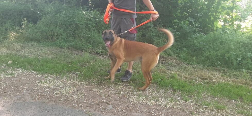 2021-088-Mailo-2 Mailo