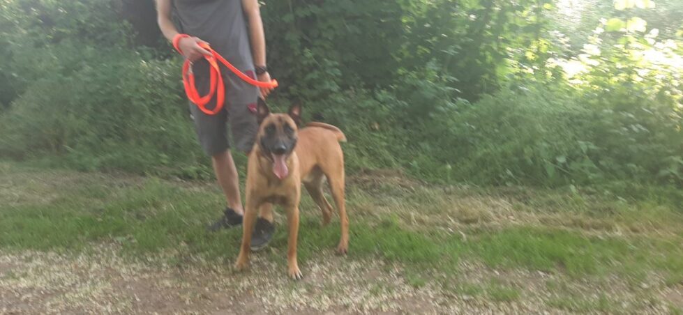 2021-088-Mailo-3 Mailo