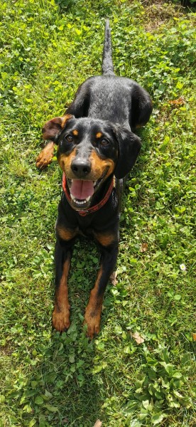 2021-117-Gretchen-1 Gretchen