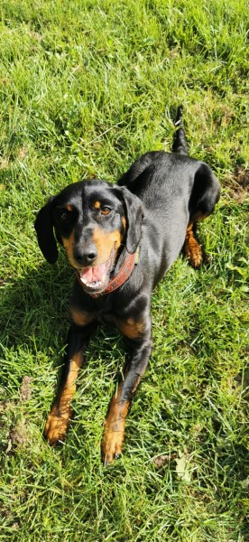 2021-117-Gretchen-3 Gretchen