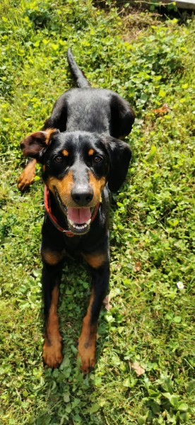 2021-117-Gretchen-4 Gretchen