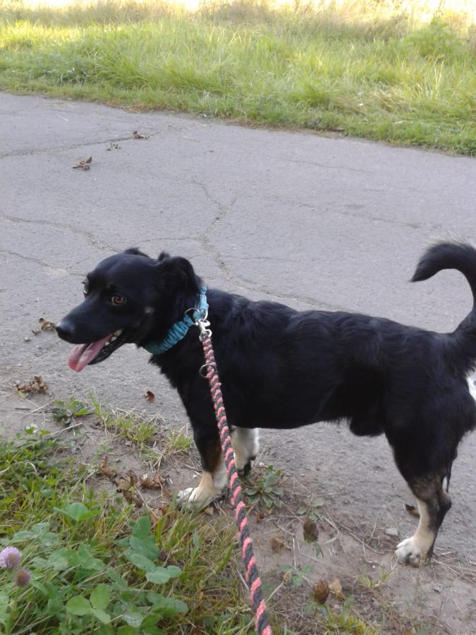 2021-171-Sammy-2 Sammy