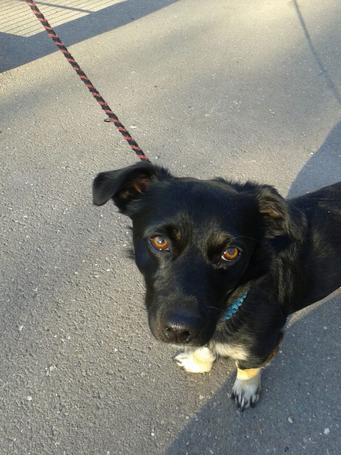 2021-171-Sammy-4 Sammy