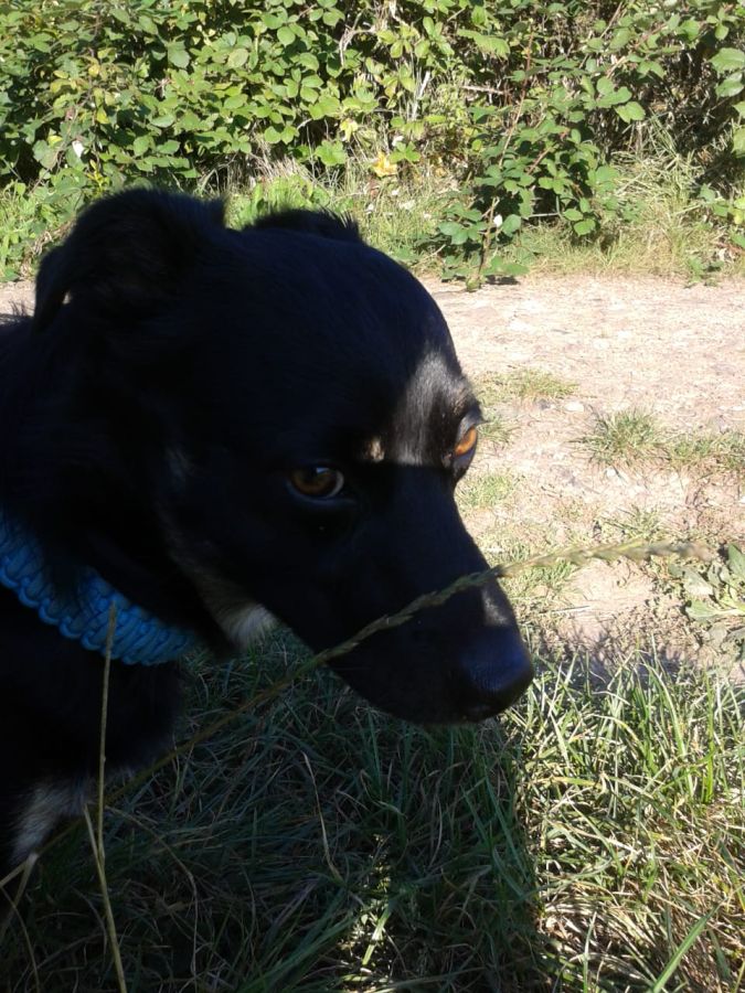 2021-171-Sammy-6 Sammy