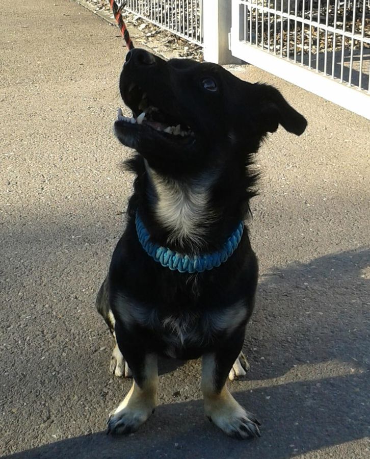 2021-171-Sammy-8 Sammy