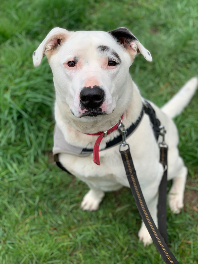 2021-059-Boult-17-2022-04-05 Boult