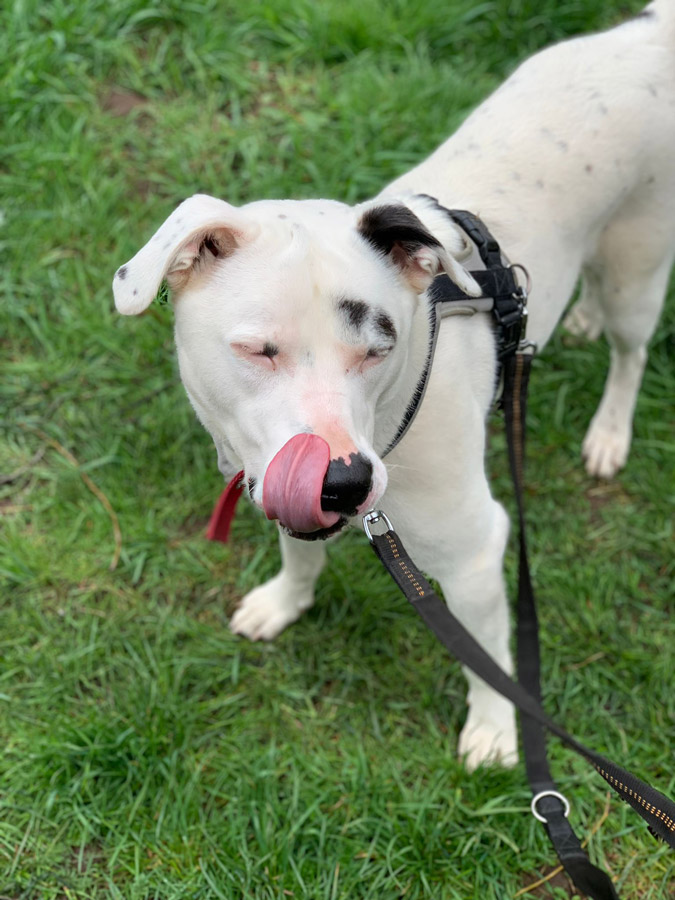 2021-059-Boult-18-2022-04-05 Boult