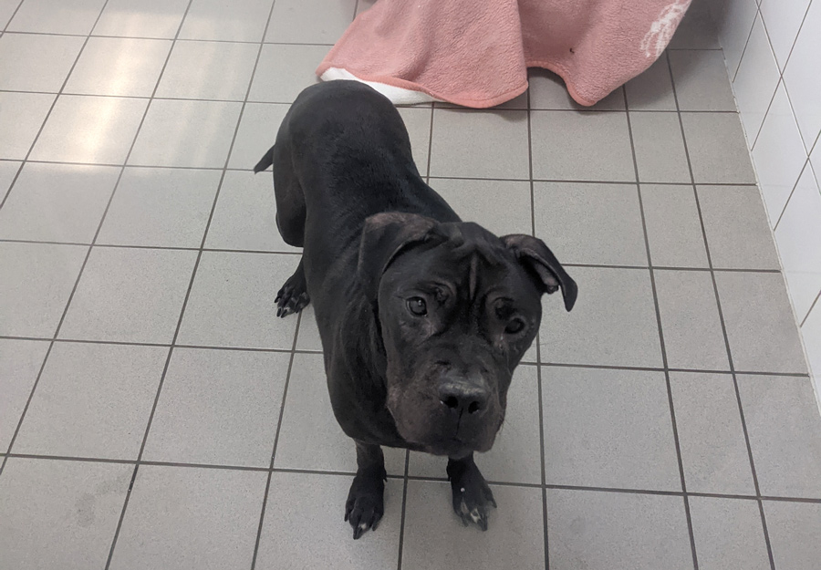 2022-034-Channel-1 Channel