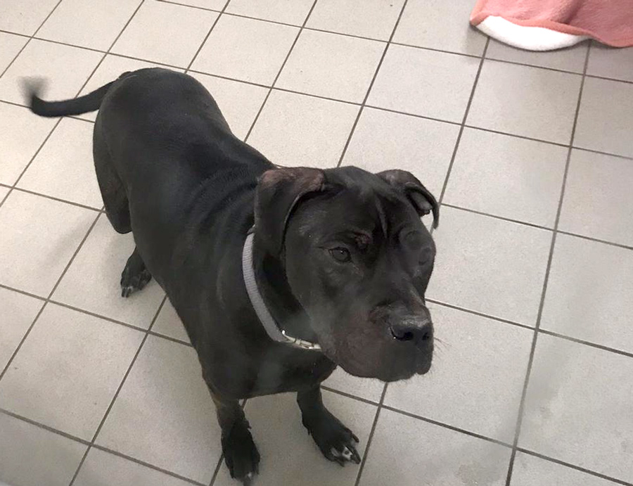 2022-034-Channel-3 Channel