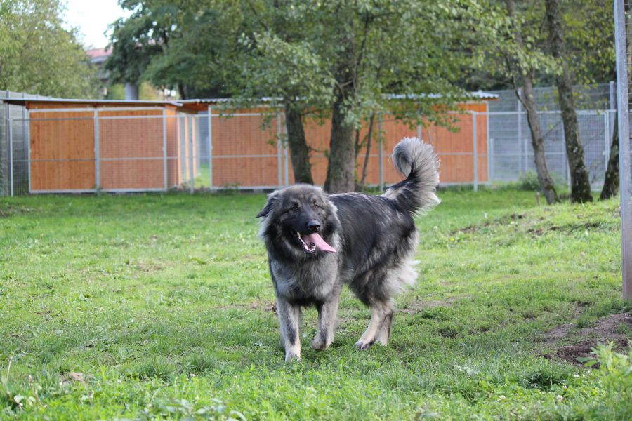 2021-127-Rocky-13 Rocky