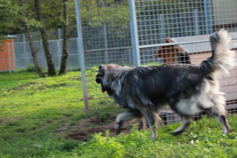 2021-127-Rocky-14 Rocky
