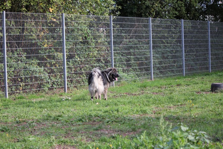 2021-127-Rocky-17 Rocky