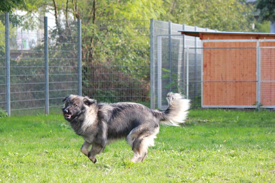 2021-127-Rocky-21 Rocky