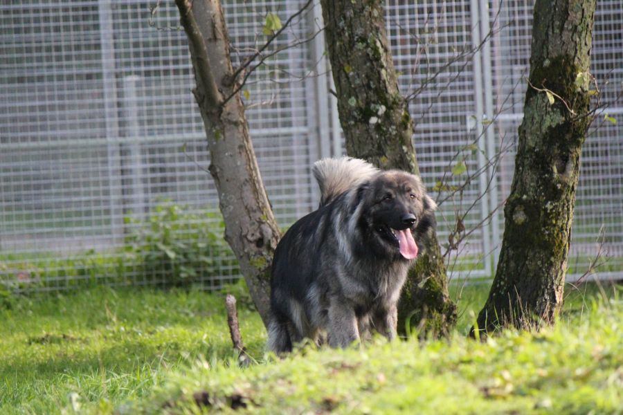 2021-127-Rocky-22 Rocky