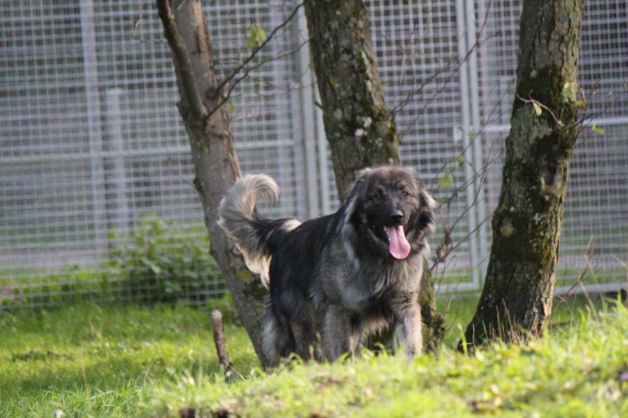 2021-127-Rocky-23 Rocky