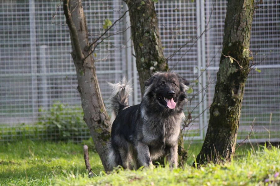 2021-127-Rocky-25 Rocky