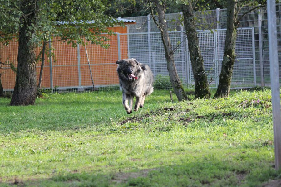 2021-127-Rocky-26 Rocky