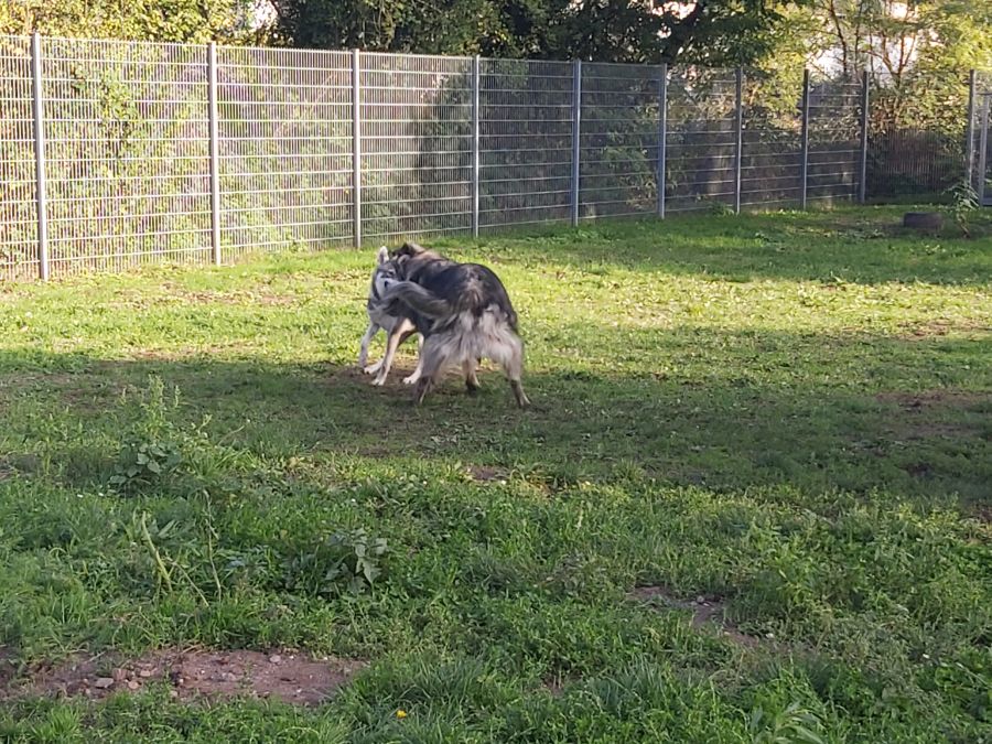 2021-127-Rocky-9 Rocky