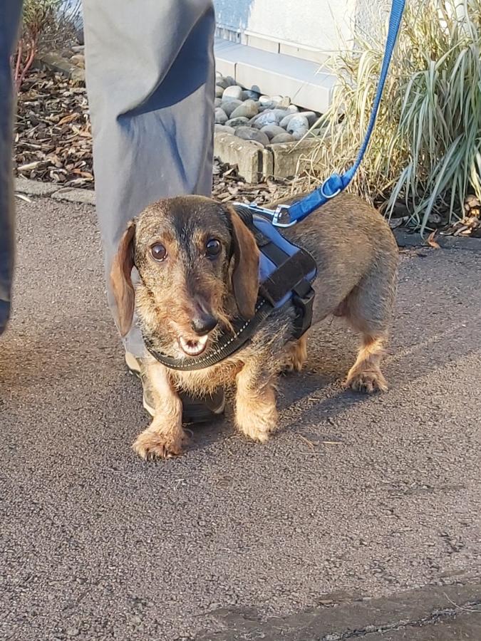 2022-999999-Anne-1 Anne