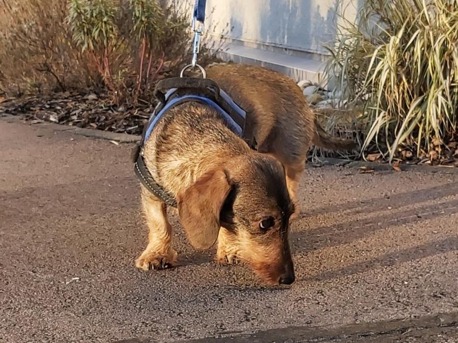 2022-999999-Anne-10 Anne