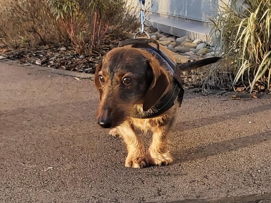 2022-999999-Anne-11 Anne