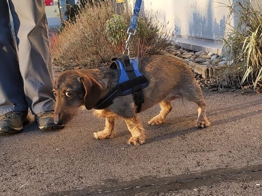 2022-999999-Anne-12 Anne