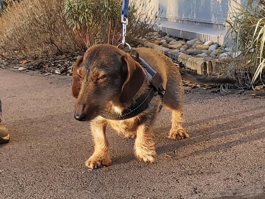 2022-999999-Anne-13 Anne