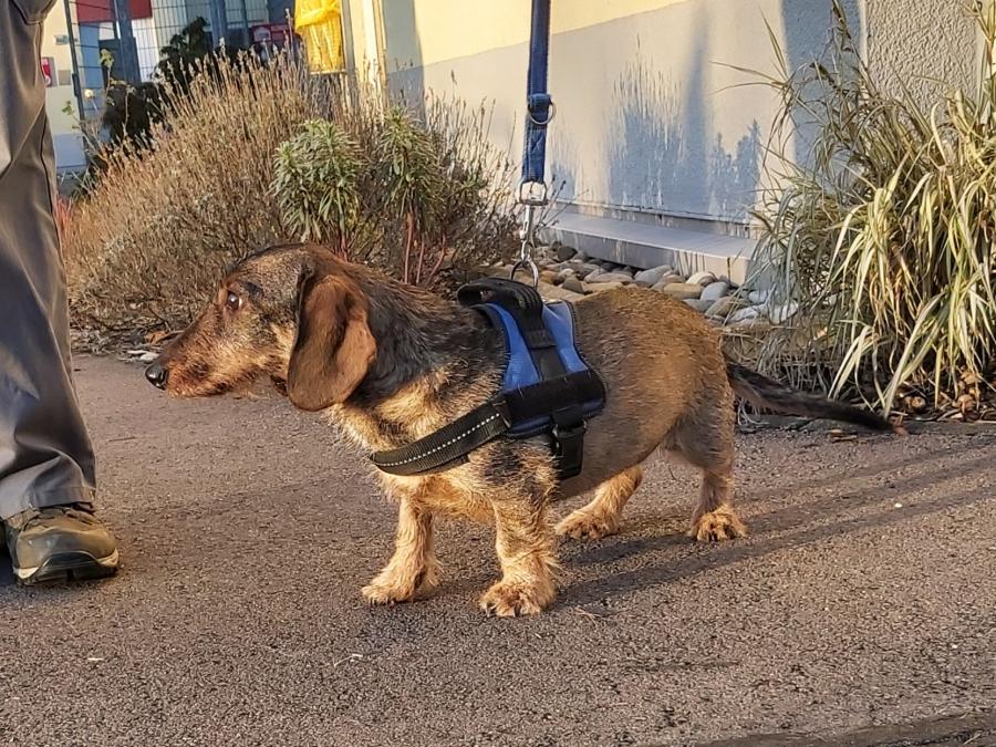 2022-999999-Anne-14 Anne