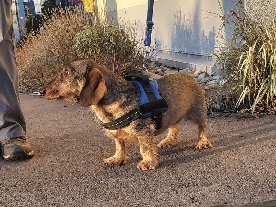 2022-999999-Anne-15 Anne