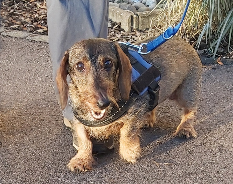 2022-999999-Anne-16 Anne