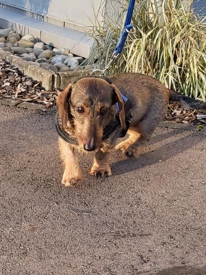 2022-999999-Anne-2 Anne