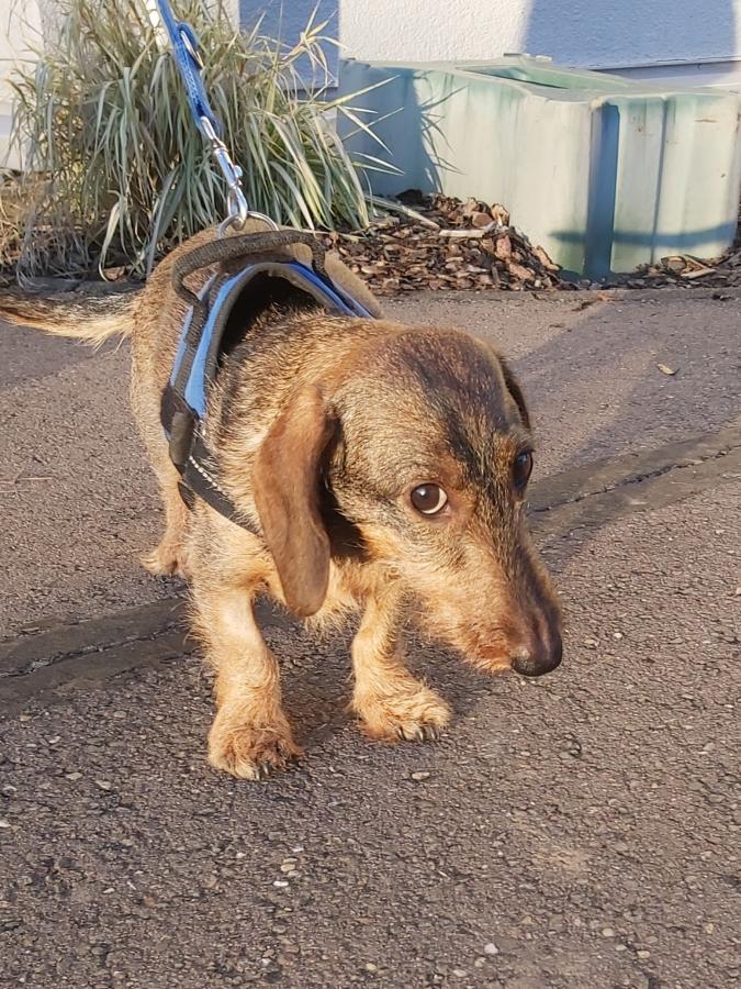 2022-999999-Anne-3 Anne