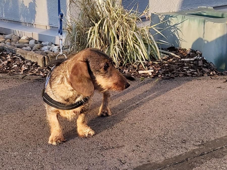 2022-999999-Anne-6 Anne