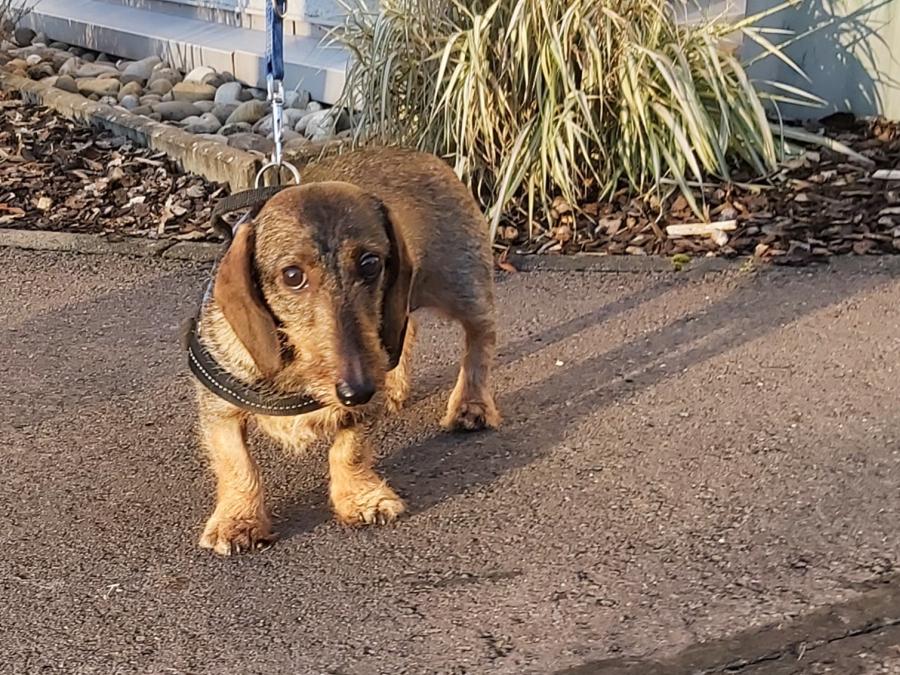 2022-999999-Anne-7 Anne