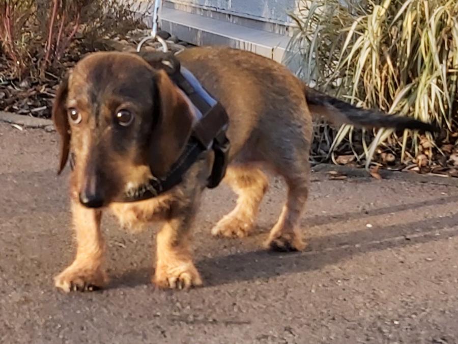 2022-999999-Anne-9 Anne